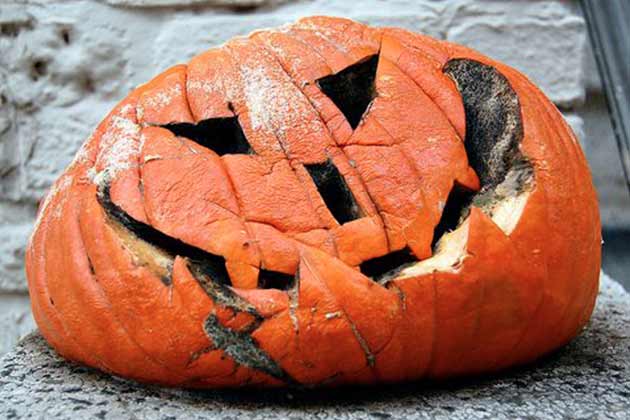 Don’t: Ignore Your Gourds