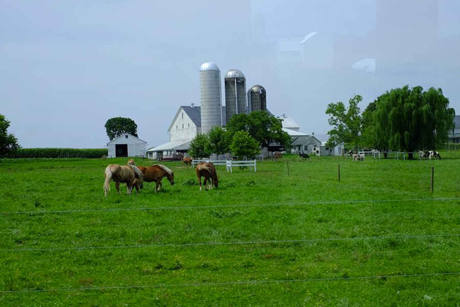 Amish Village, Strasburg, PA