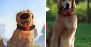 dug from the film up