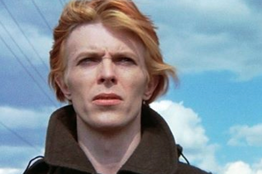 The Man Who Fell to Earth