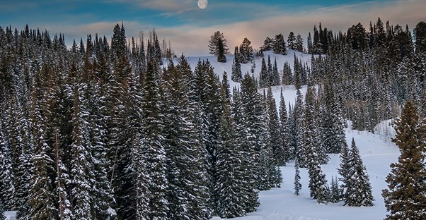 A great place to ski