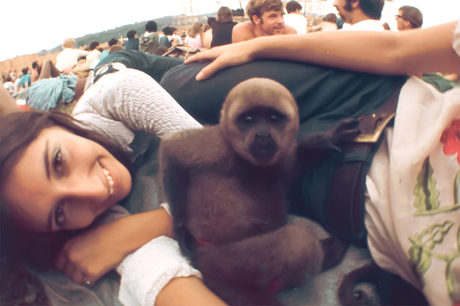 The Woodstock Monkey
