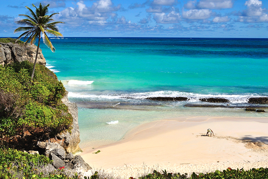 Barbados