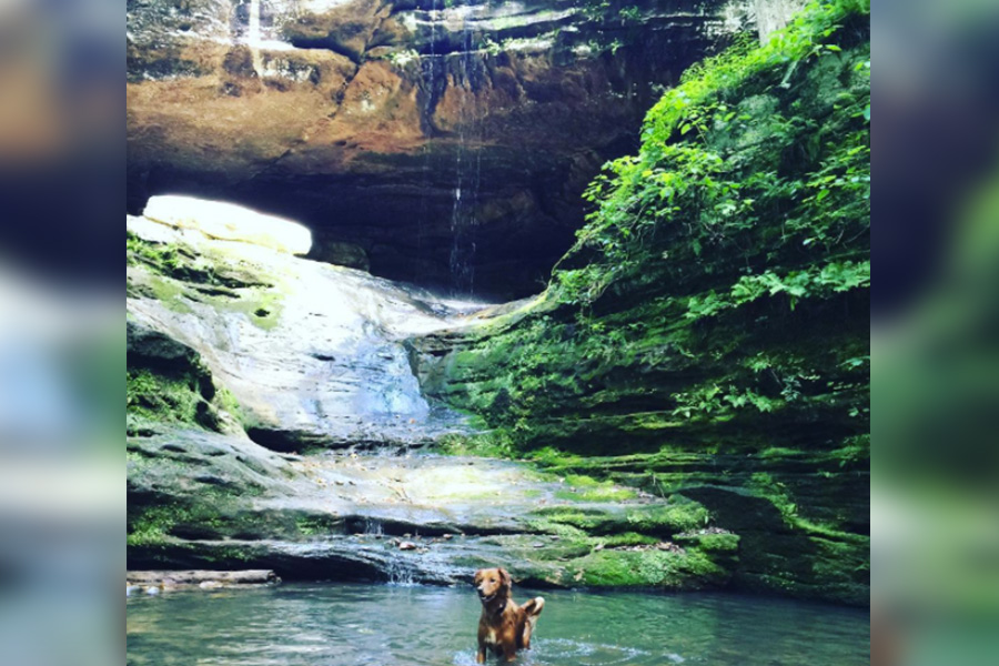 1. Fern Clyffe State Park Falls