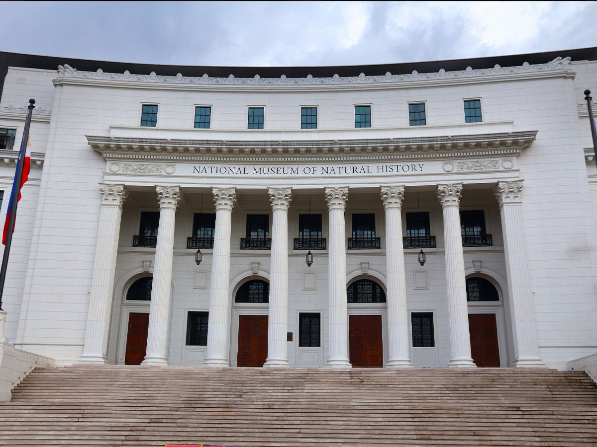 National Museum of Natural History: Washington, DC