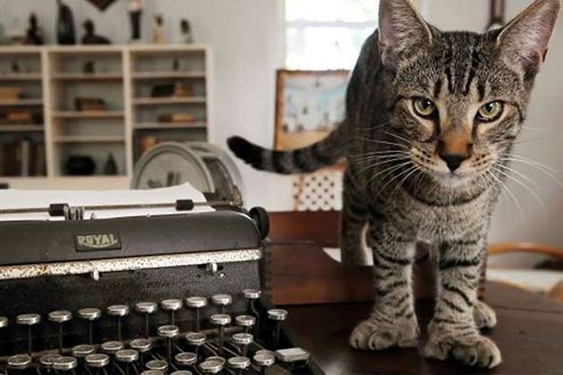 The Ernest Hemingway Home and Museum: Key West, FL