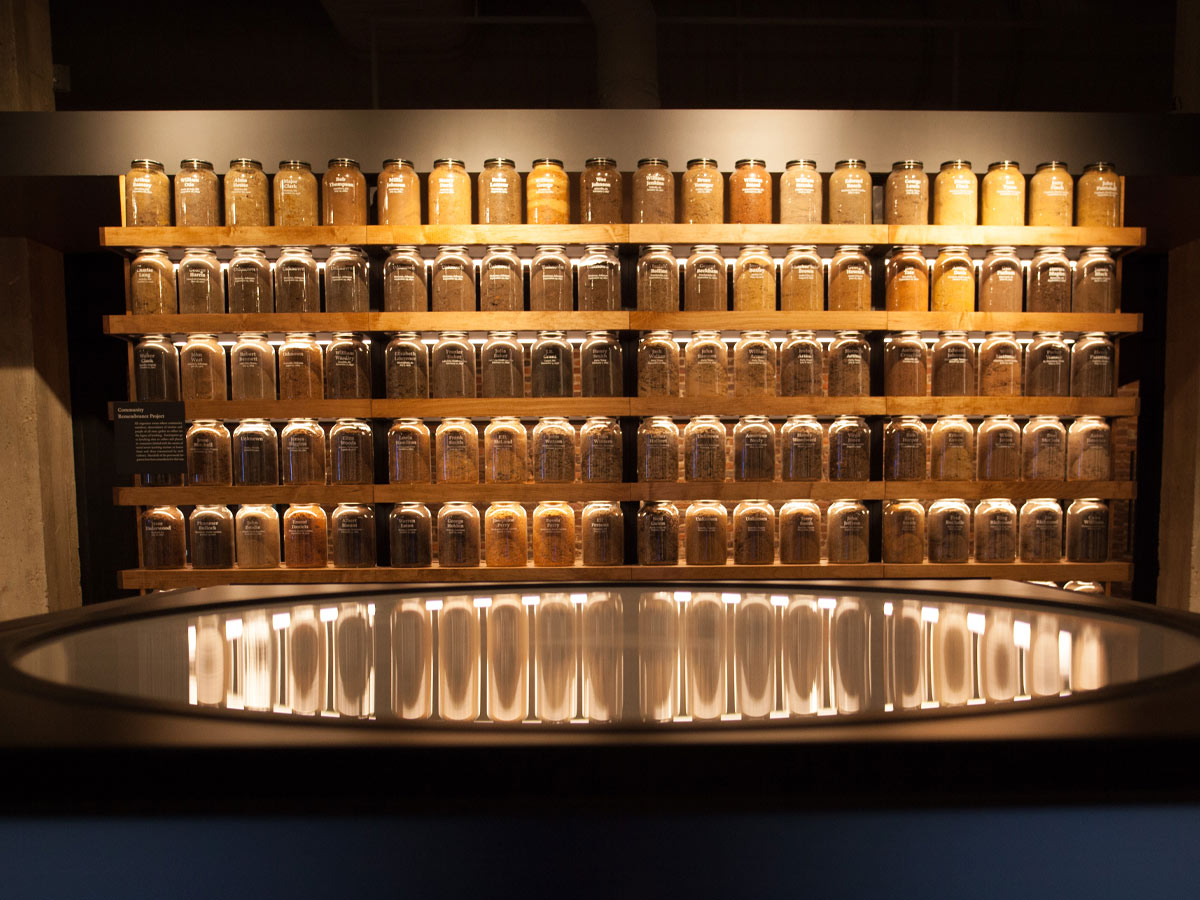Legacy Museum: Montgomery, AL