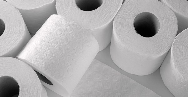 several rolls of toilet paper
