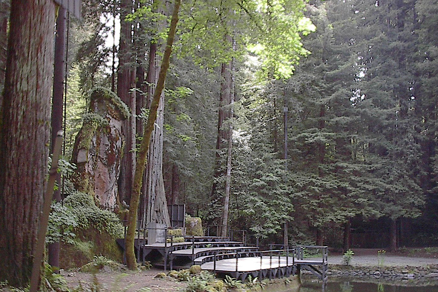 Bohemian Grove, California