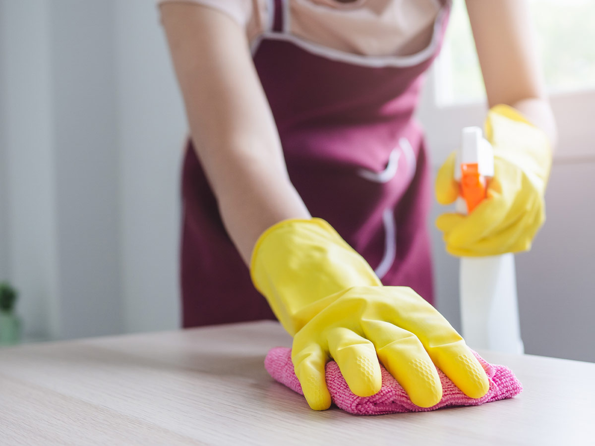 Dust Cleaner