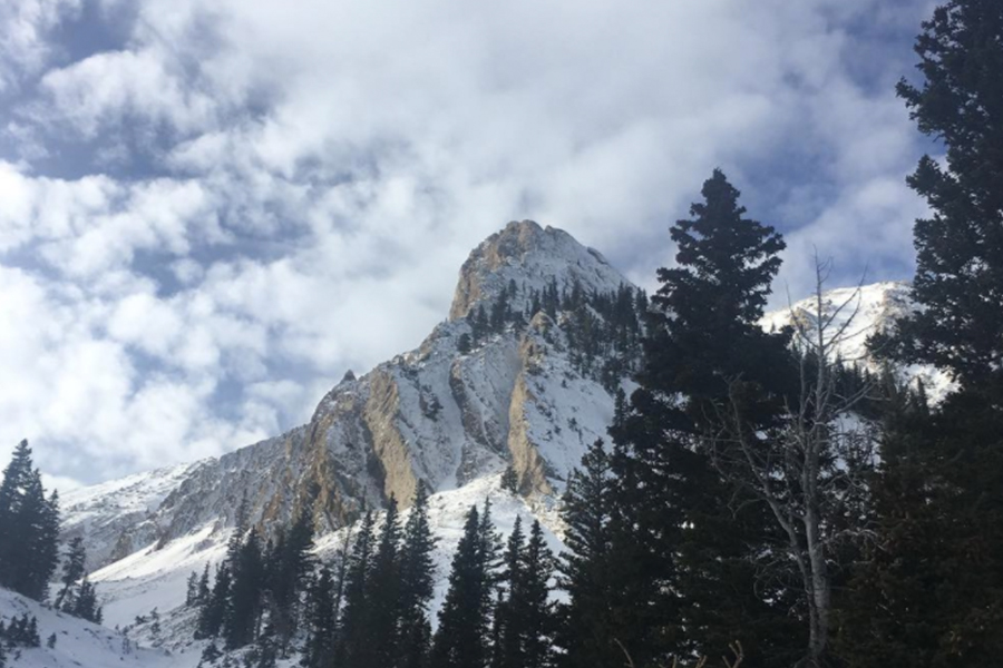 Bozeman, MT