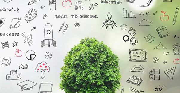 A tree surrounded by art depicting special education resources