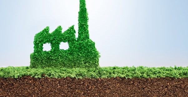 A landmark covered in thriving green plants in a place where the UN is enforcing the Sustainable Development Goal of environmental sustainability