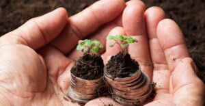 a person with coins and plants in their hands to weigh the pros and cons of practicing business sustainability