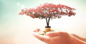 a person holding a small tree and some change to show their corporate philanthropy of planting trees and raising money