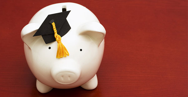 This pig will help you with your fafsa
