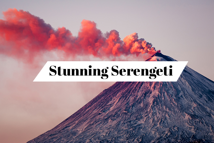 Stunning Serengeti