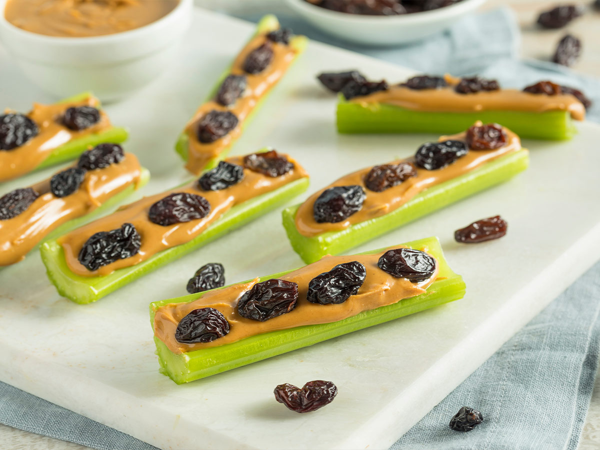 Ants on a Log
