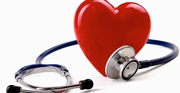 heart being measured for ejection fraction