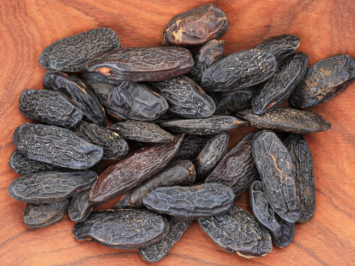 Tonka Beans