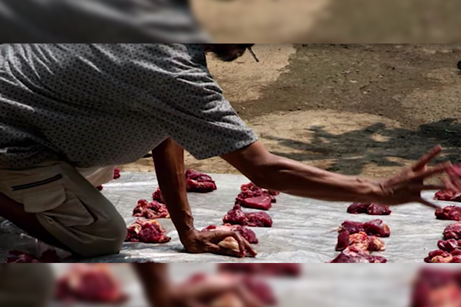Mystery Meat