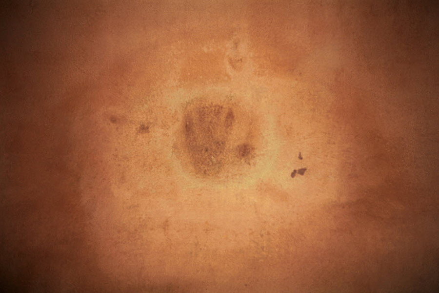 The Indelible Handprint