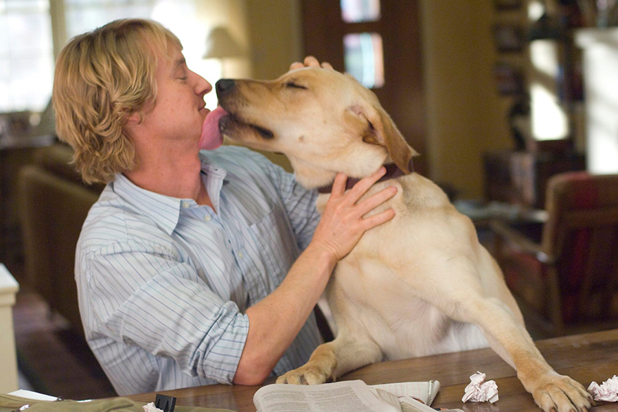 Marley and Me