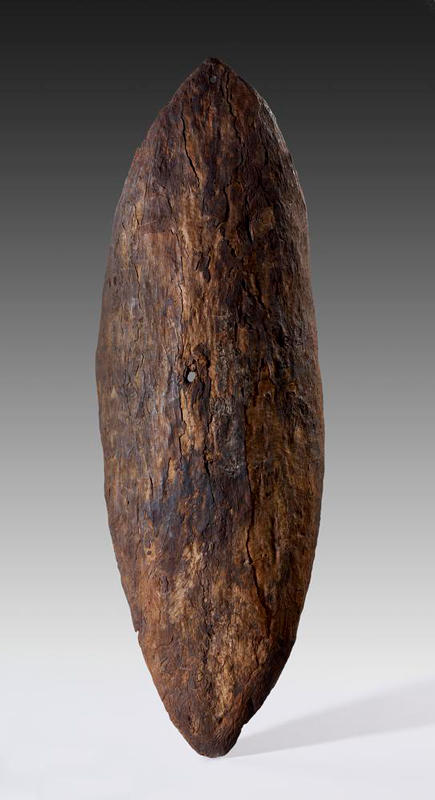Gwaegal Shield