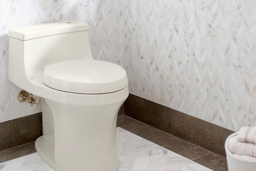 Wave Flush Toilet