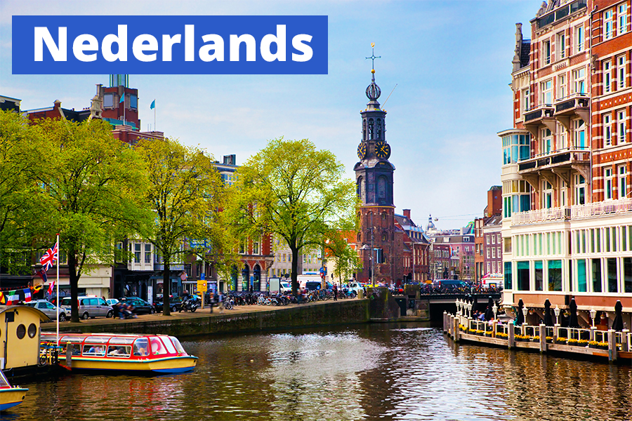 11. Dutch