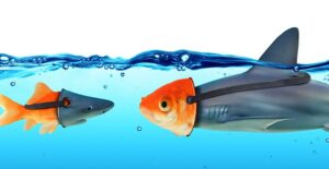 Shark and fish disguised as each other.