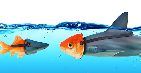 Shark and fish disguised as each other.