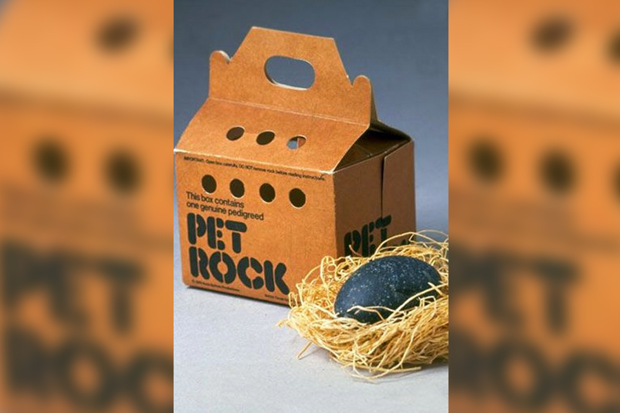 Pet Rock