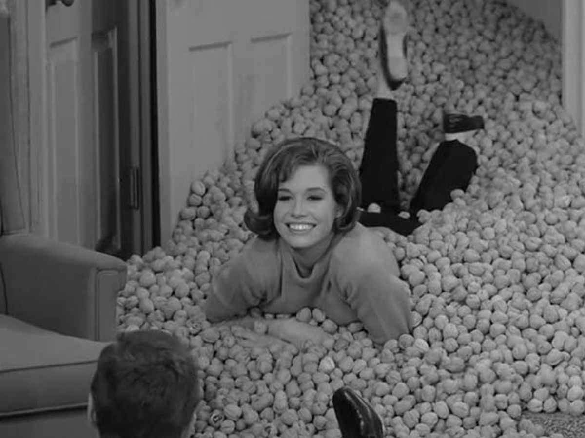 Laura Petrie, "The D-ck Van D-ke Show"
