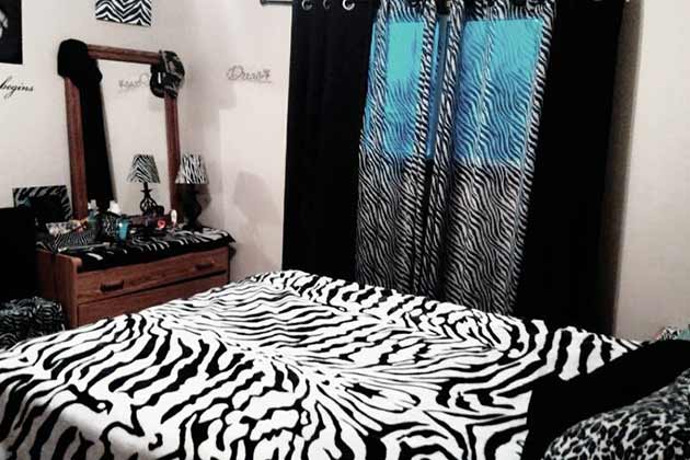 Zebra Print Everything