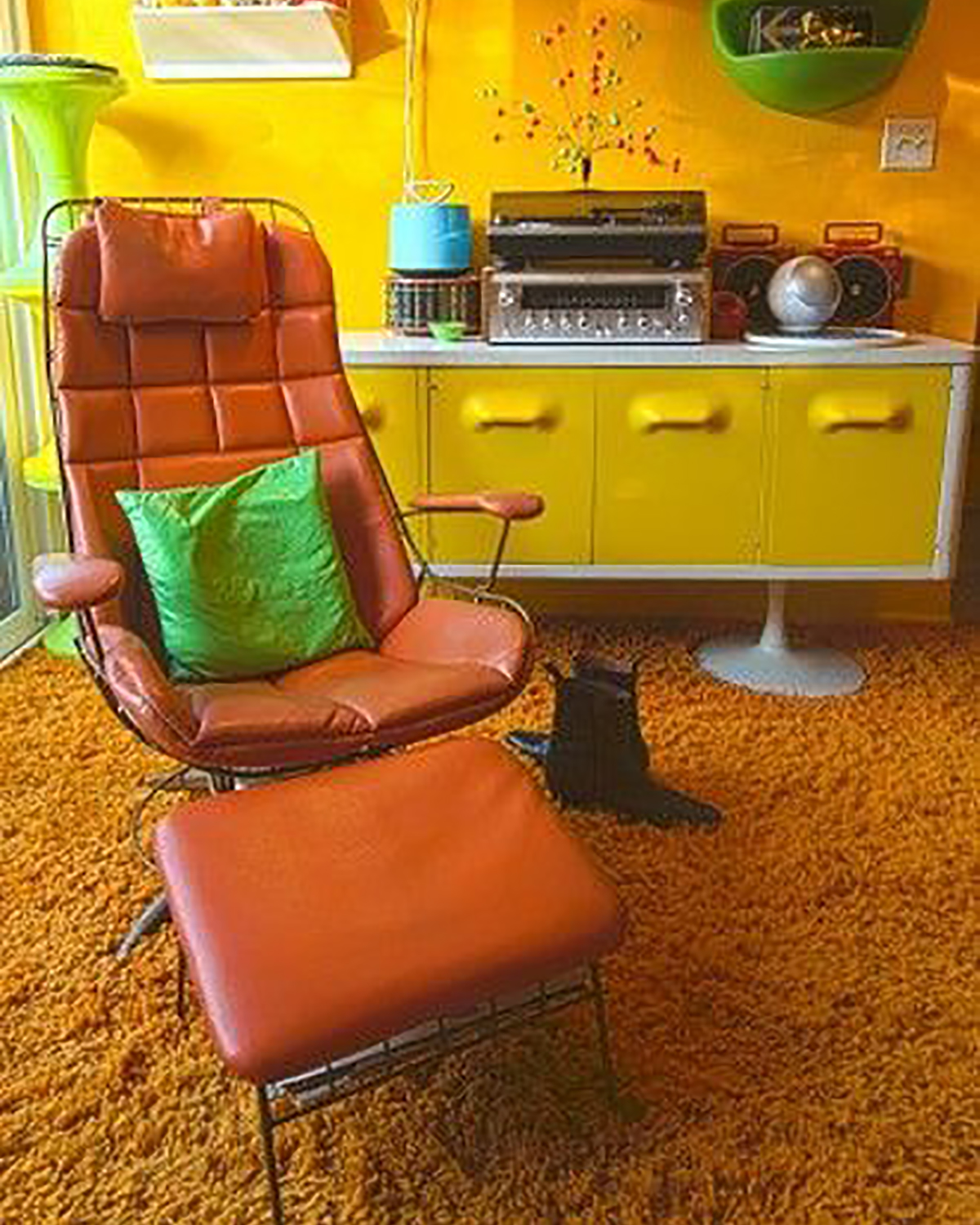 Shag Carpet