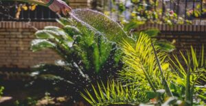 a garden hose watering garden plants