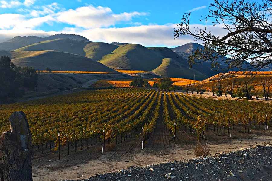 8. Salinas, California
