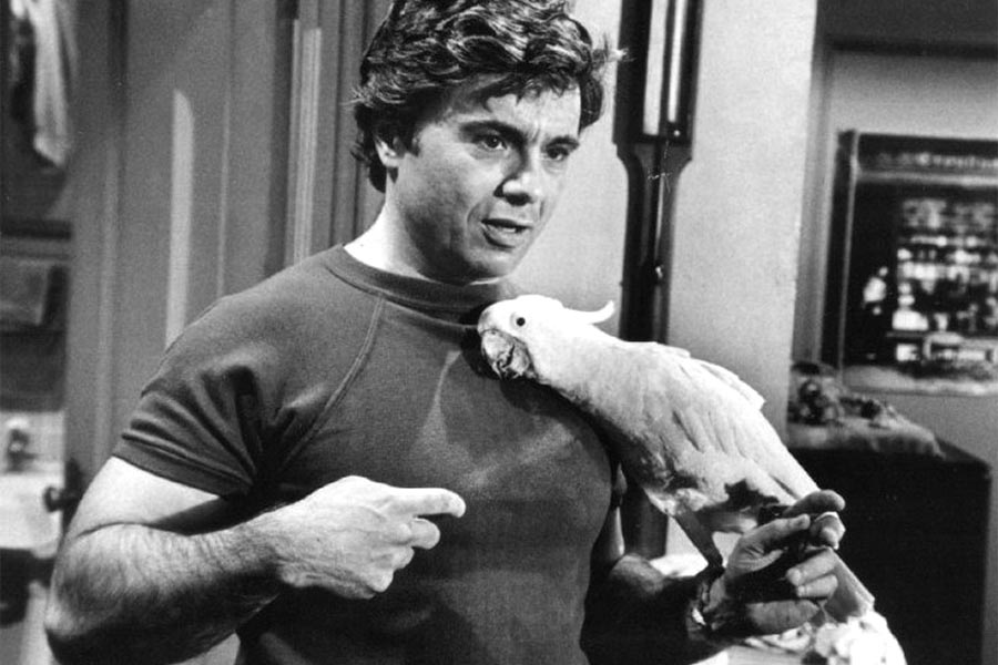 Baretta