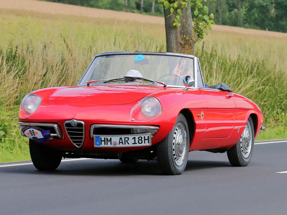 1966 Alfa Romeo Spider