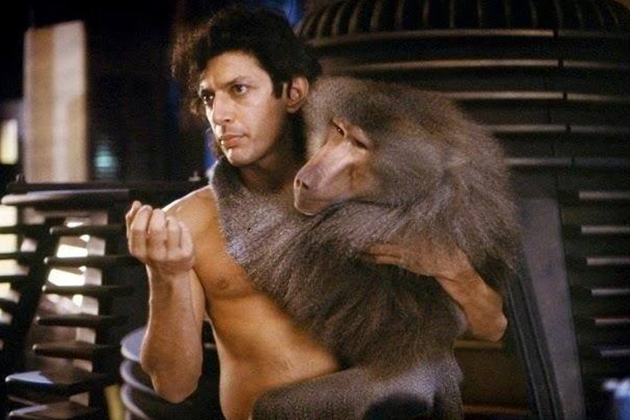 The Fly (1986)