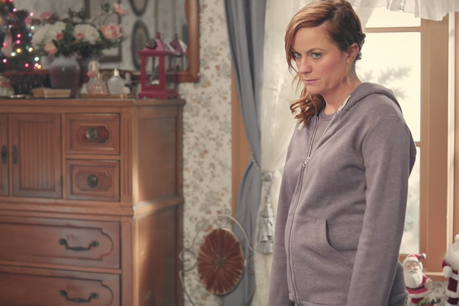Amy Poehler