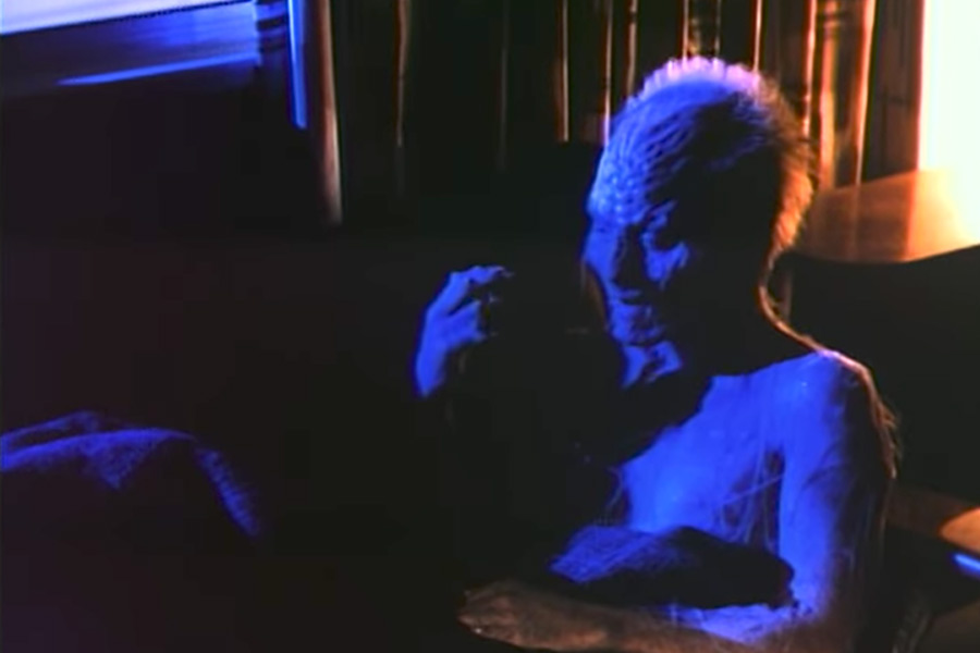 The Fly II (1989)