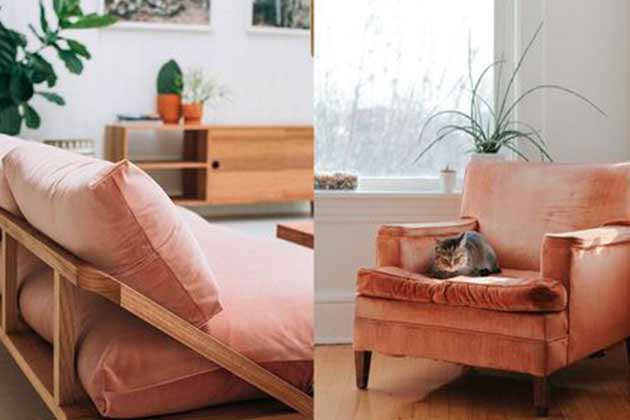 Apricot and Peach