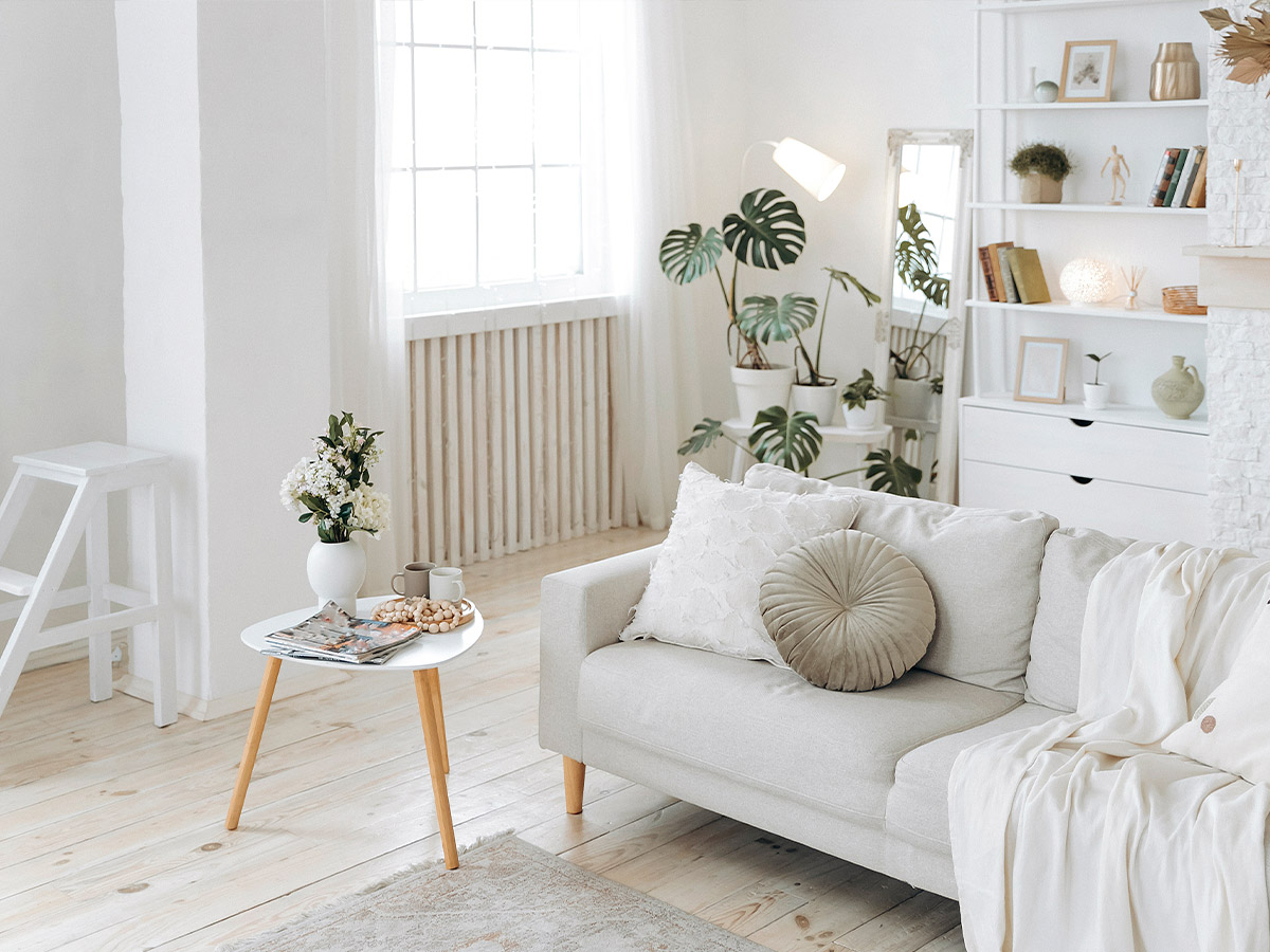 White Decor and Furniture
