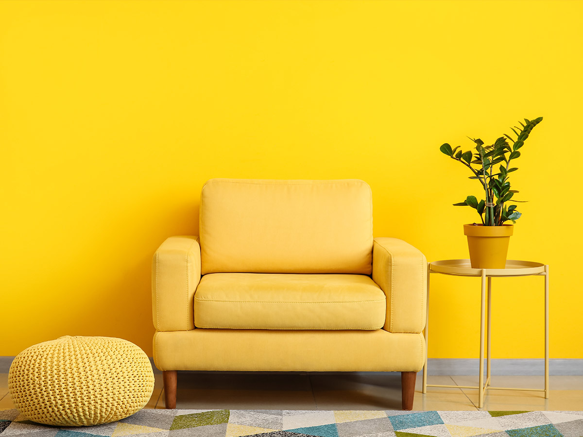 Monochromatic Color Scheme