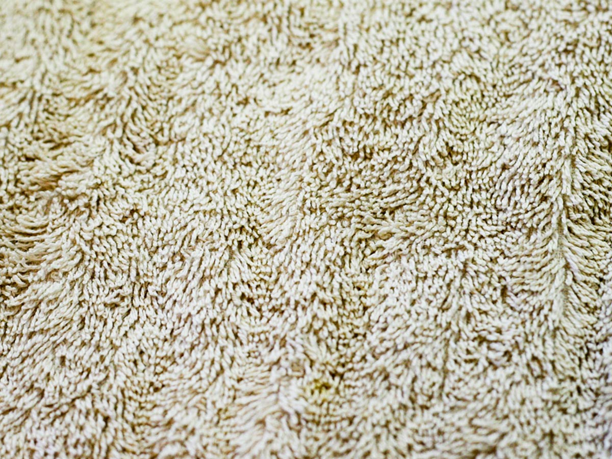Shag Carpet