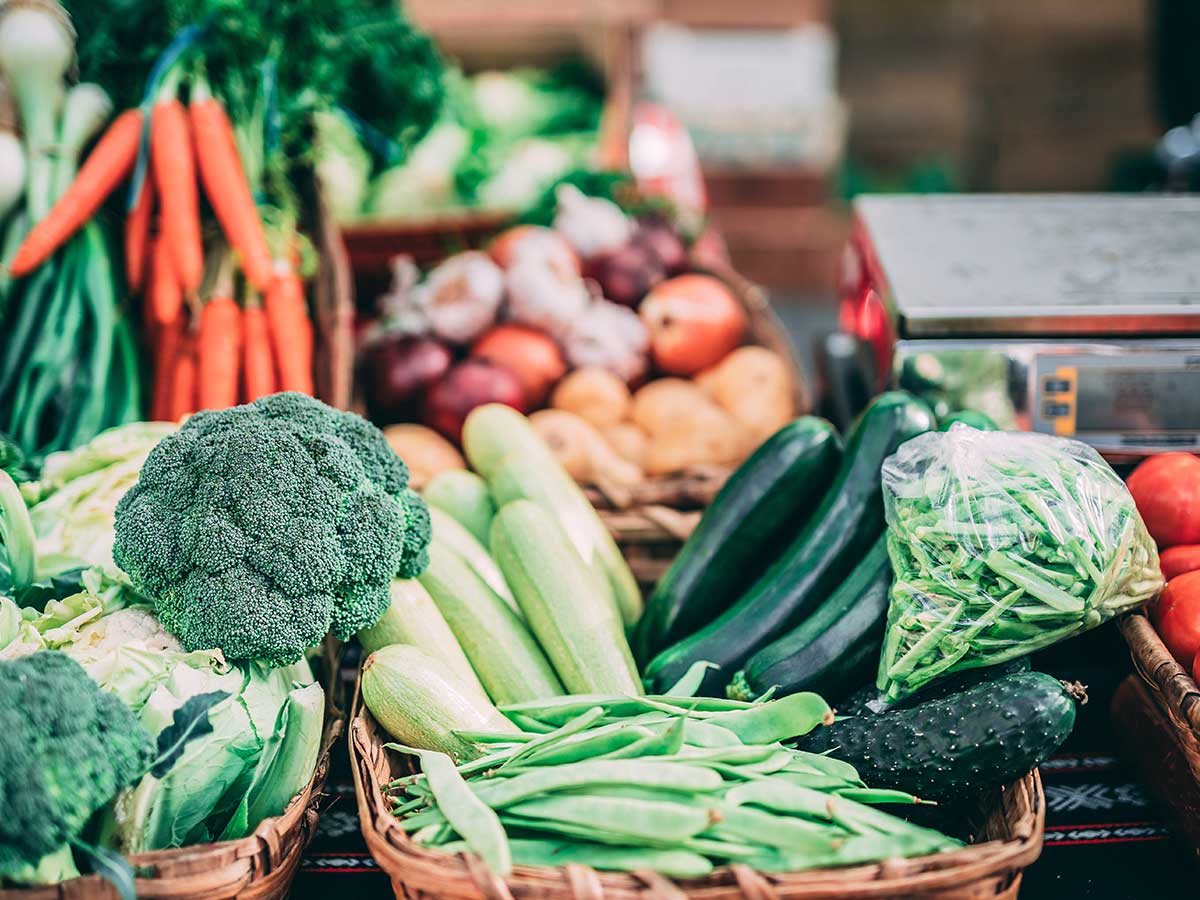 Vegetable Fibers