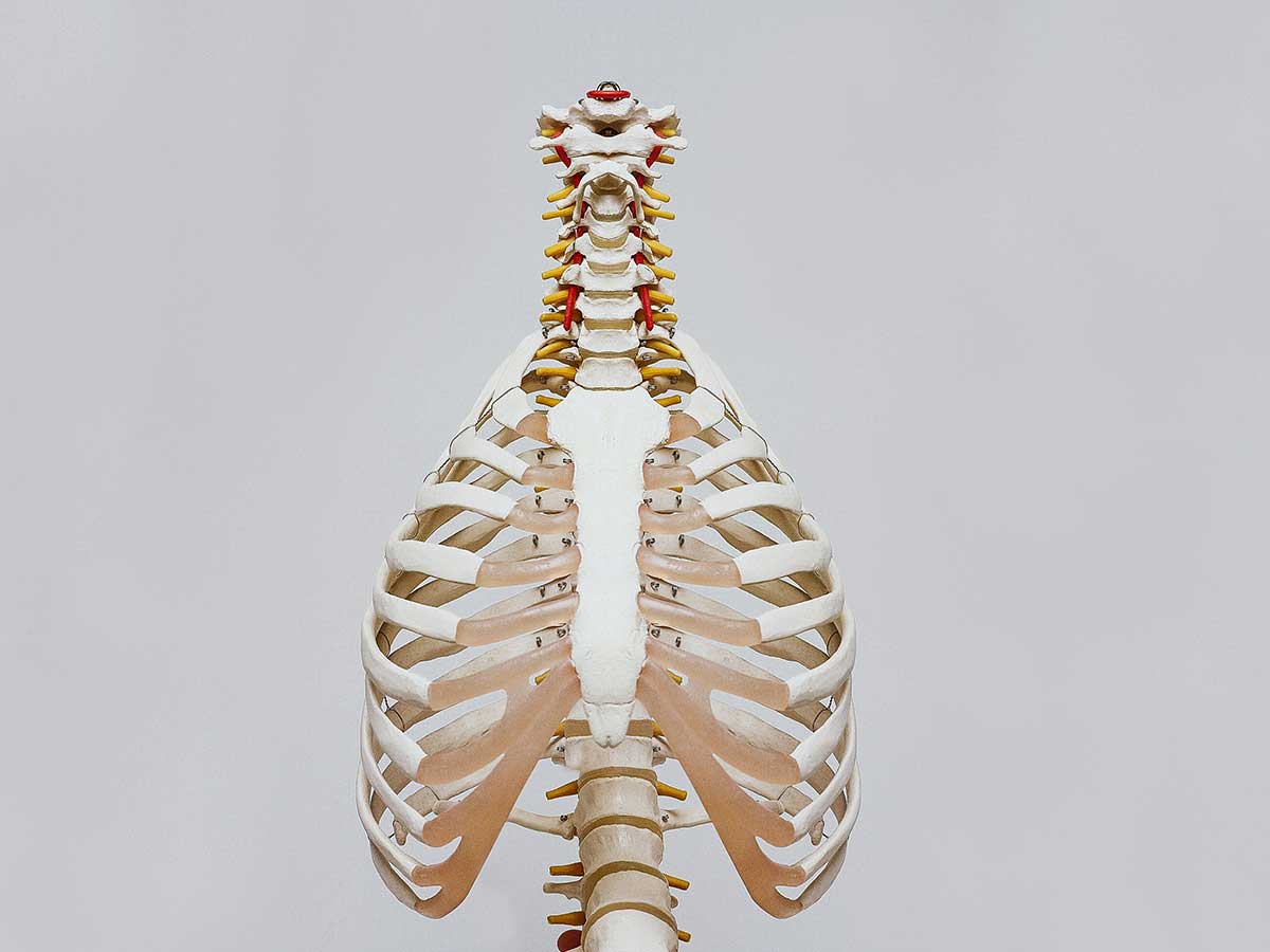 Rib Removal
