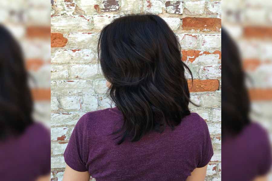 Chocolate Brown